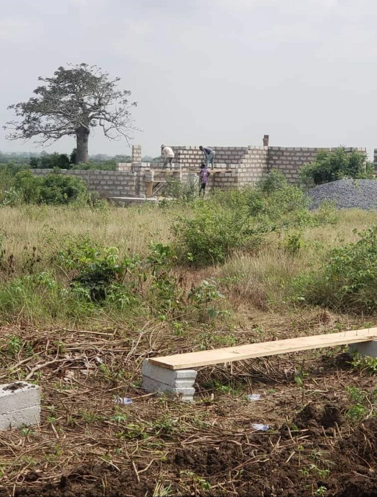 Minsundu Plot 30x30